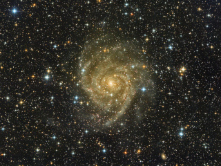 The Hidden Galaxy - IC 342