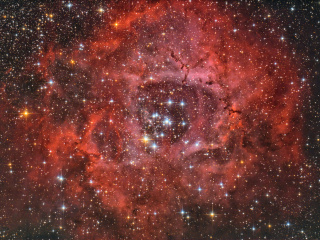 The Rosette Nebula - NGC 2237
